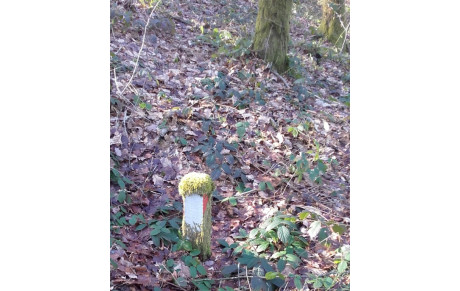 Entrainement CO 18 février